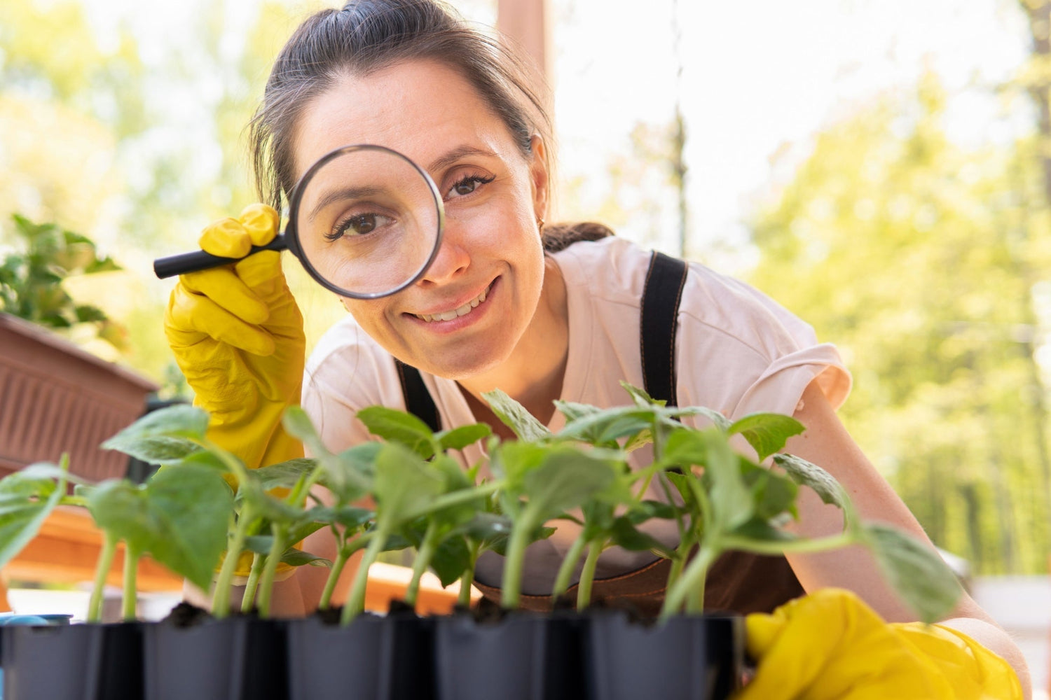 Is Your Plant Screaming for Help? Decode Its Stress Signals Now!