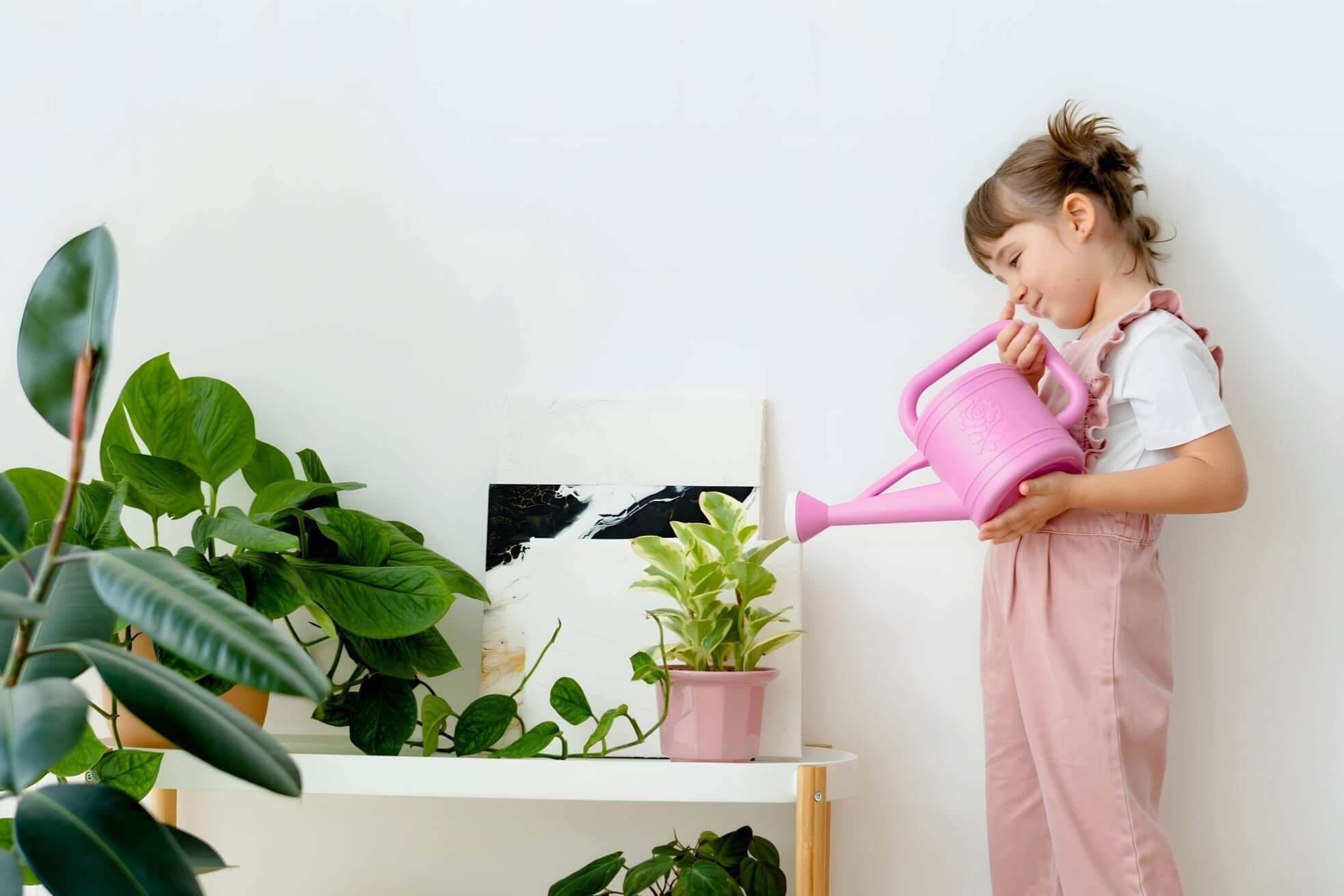 Oops, Overwatered! Your Ultimate Rescue Guide for Drowning Plants