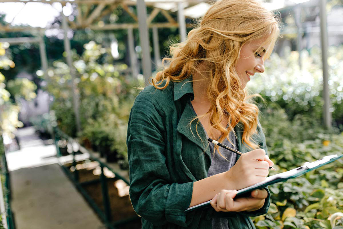 Plant Timing Guide