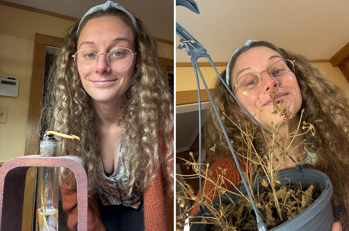 Learning Curve: A Plant Survival Story