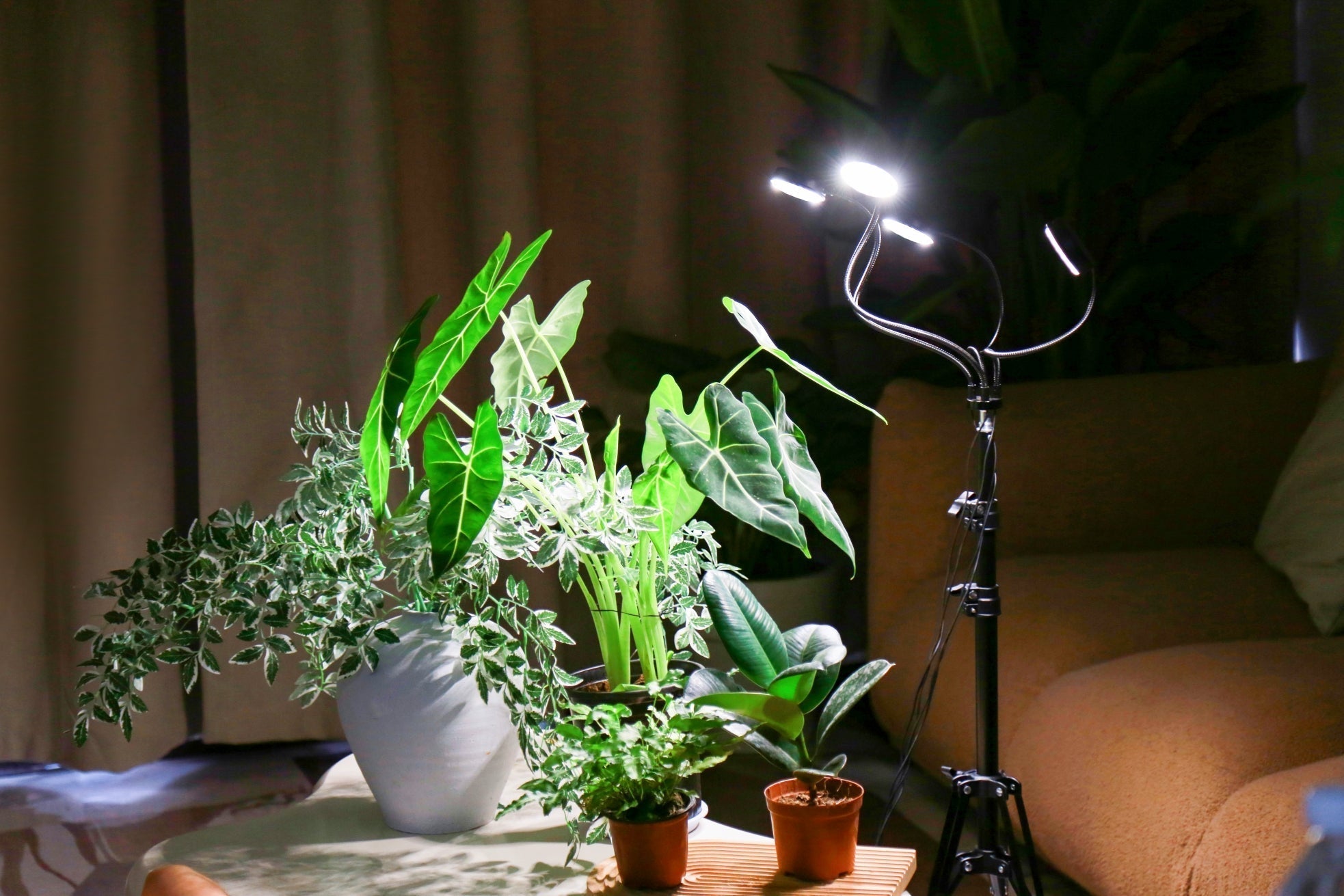 LED Plant Grow Lights: The “Artificial Sun” for Indoor Plant Growth