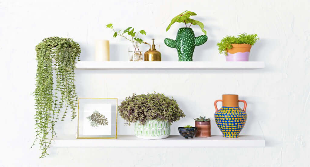 10 Tipps für ein schönes und stilvolles Pflanzenregal – SANSI Lighting