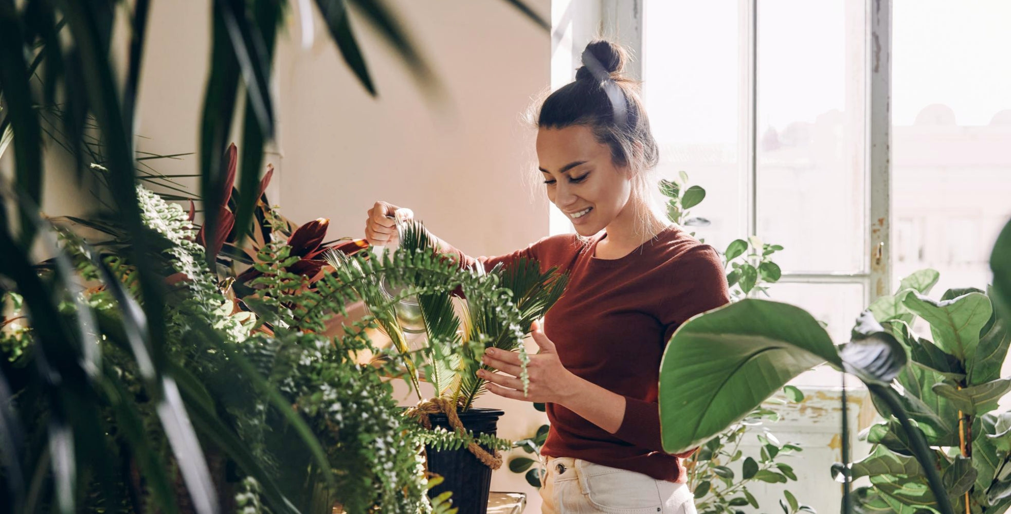 Plants, Grief, and the Little Rituals That Saved Me