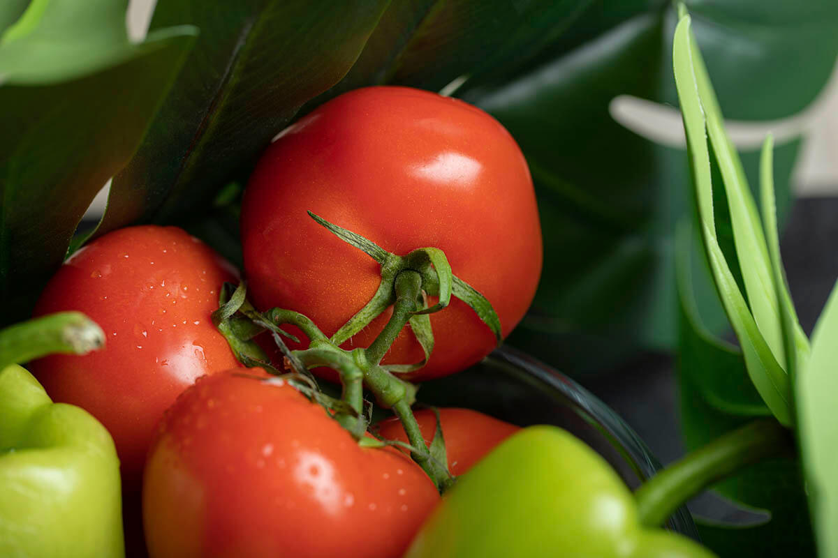 Your Complete Guide to Growing Tomatoes