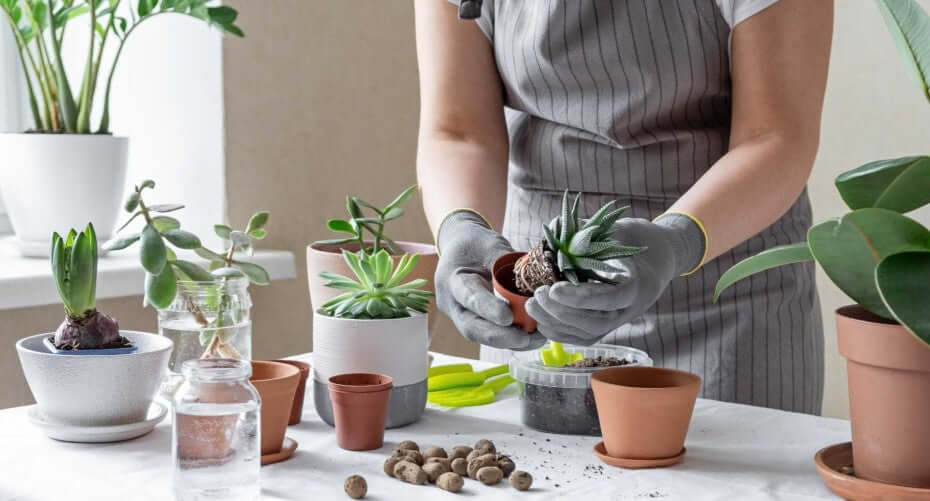 how to do indoor planting efficient