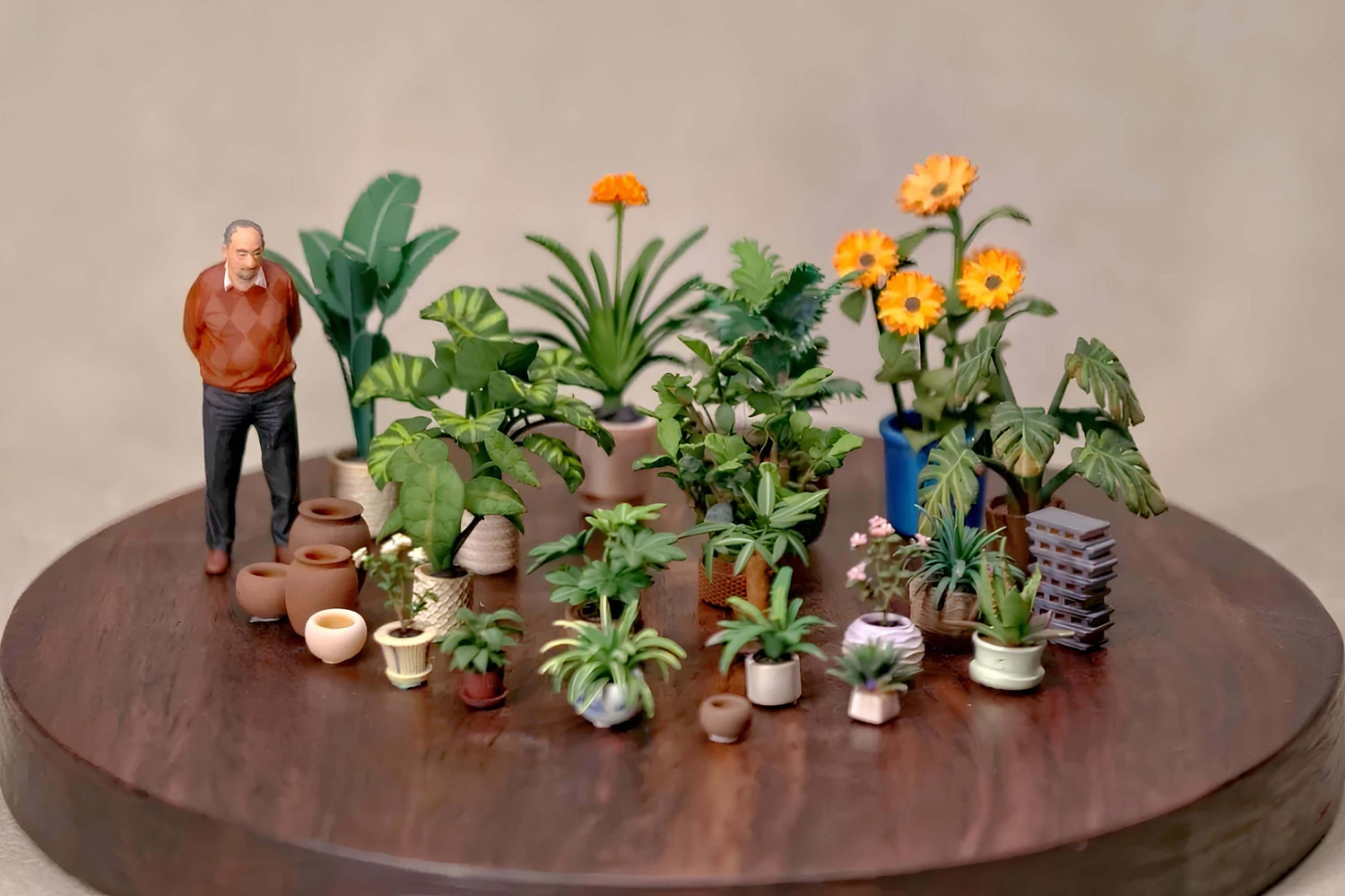 The Top 9 Houseplants That Thrive in Sunlight or AC