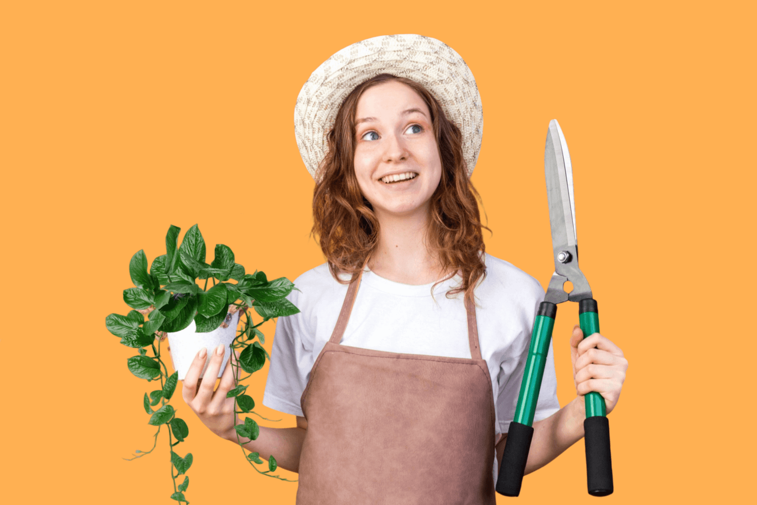 Trimmings to Treasure: Brew FREE Plant Gold!