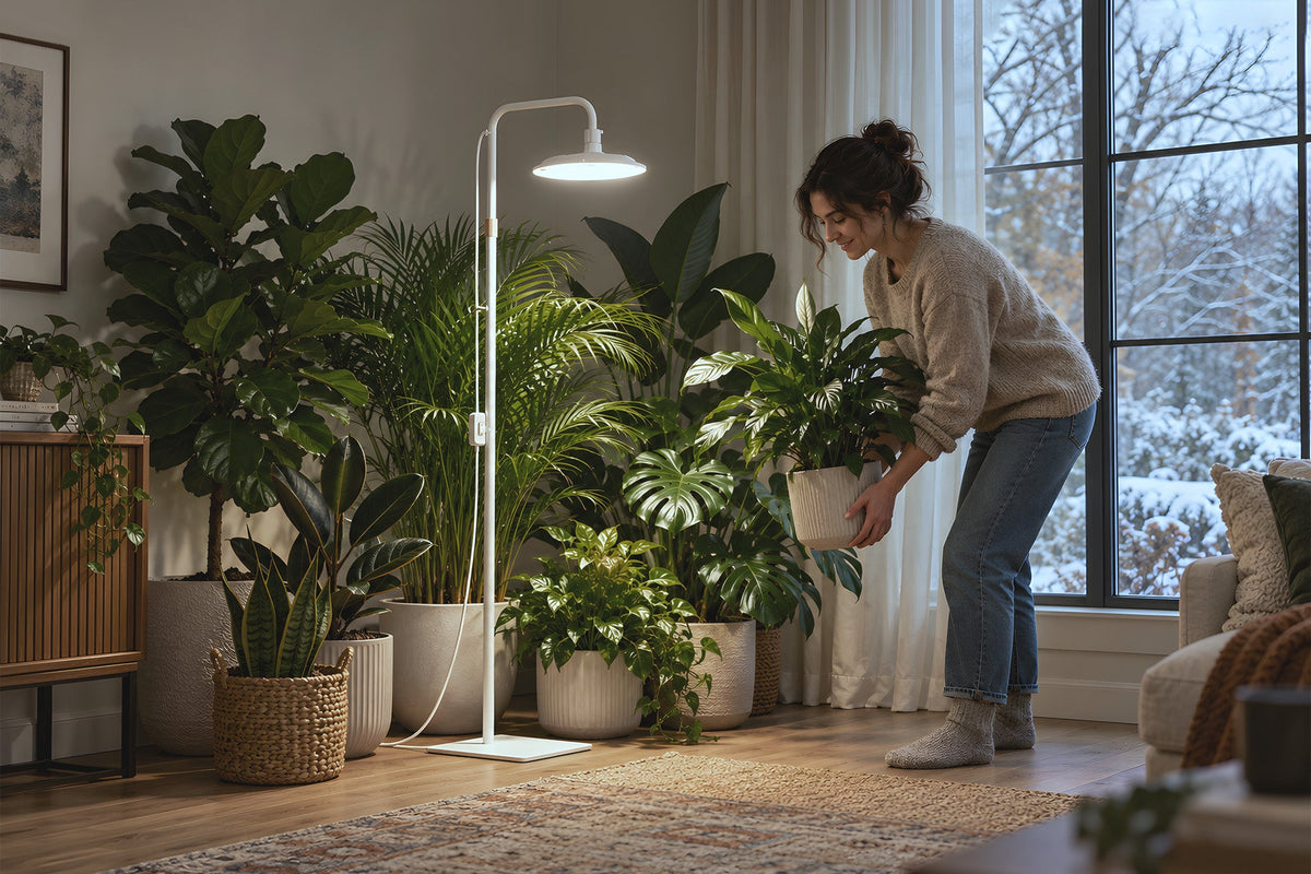 Guide to Bringing Outdoor Plants Indoors