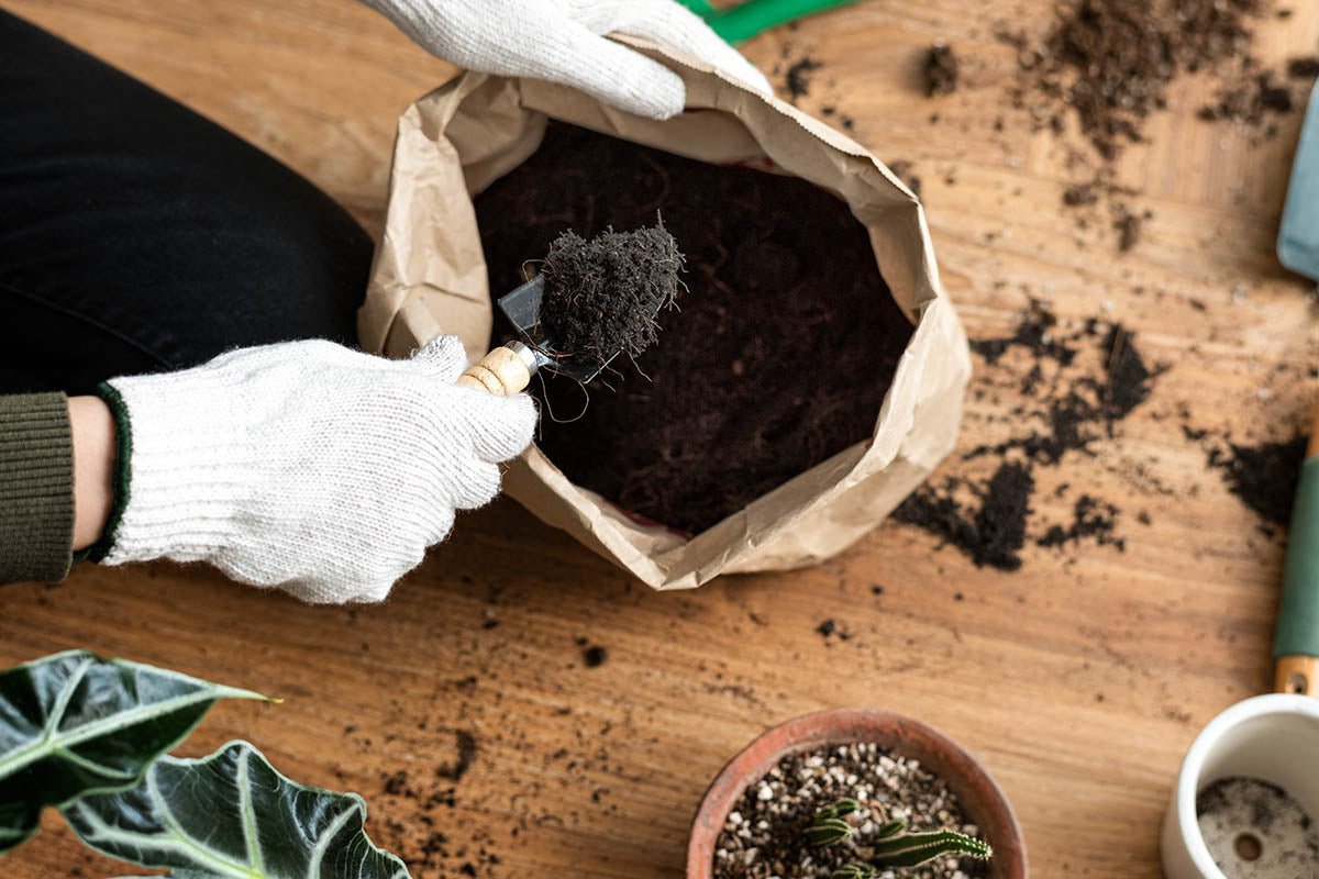 Fertilizer FAQs