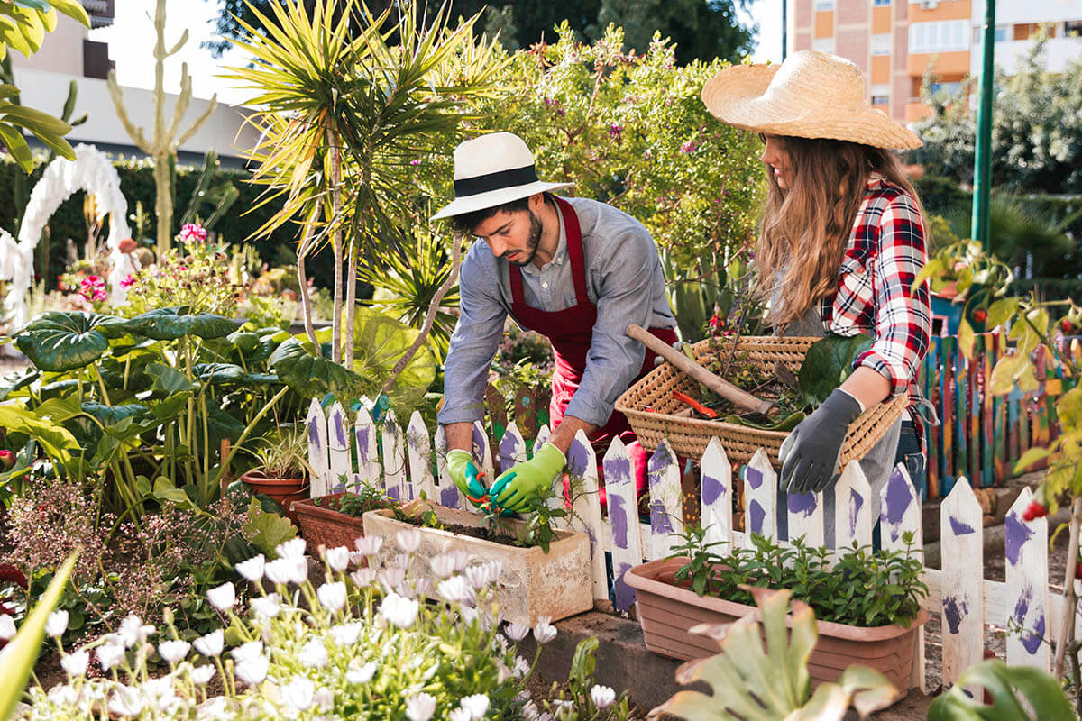 How to Create a Garden That Works for You