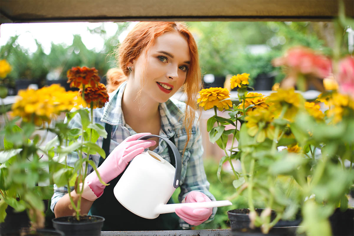 Start Your Flower Garden from Scratch