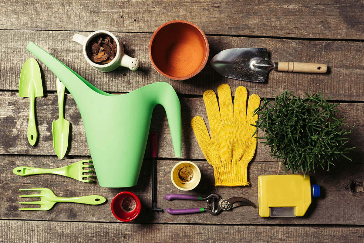 7 Essential Garden Tools for Beginners