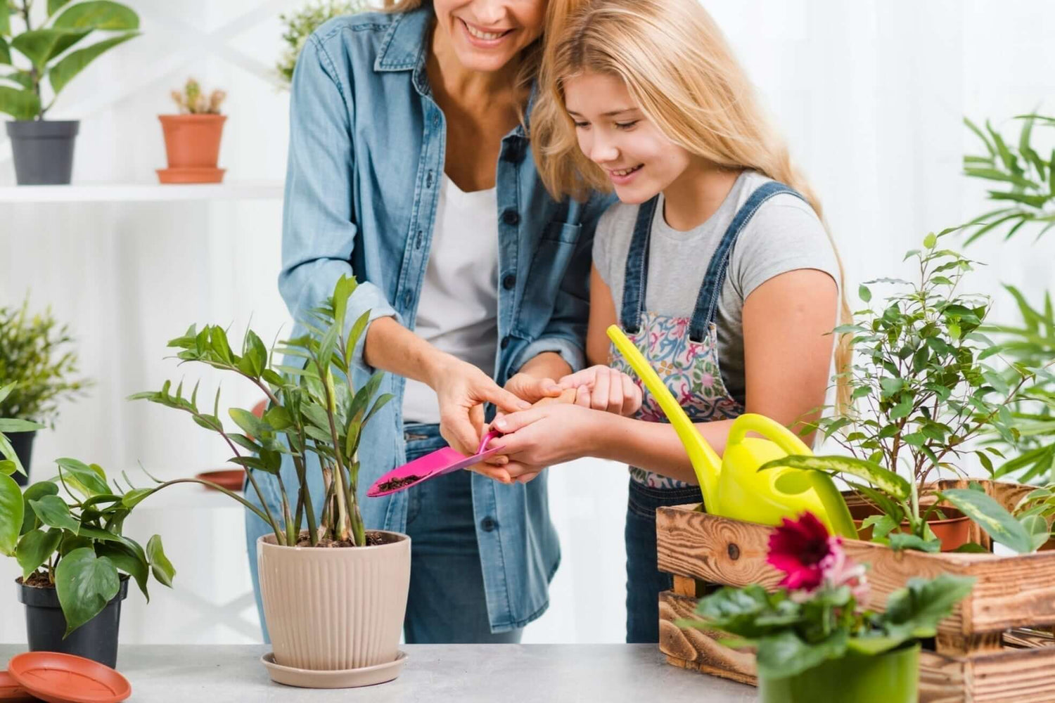 If I Was Starting With Plants Today, I'd Do This