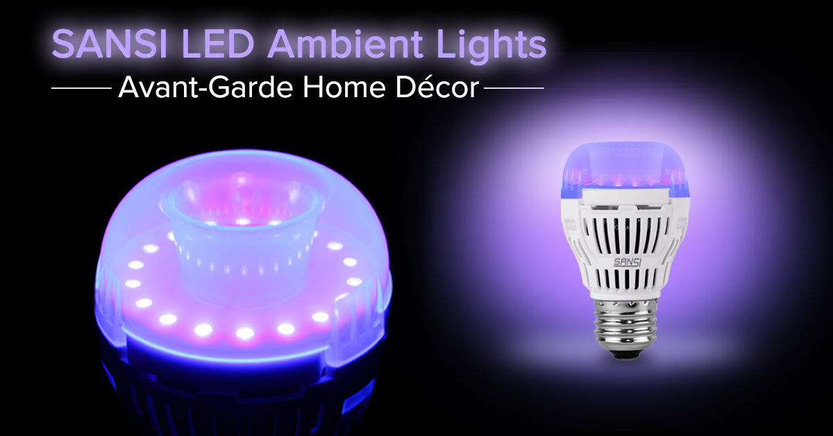 What Is Ambient Lighting and How Can a UVA Black Light Bulb Be Used for It?
