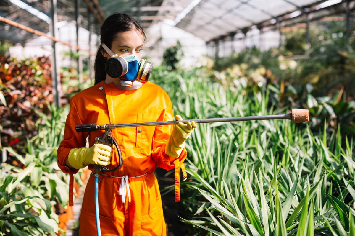 Garden Pest Control: From Prevention to Treatment