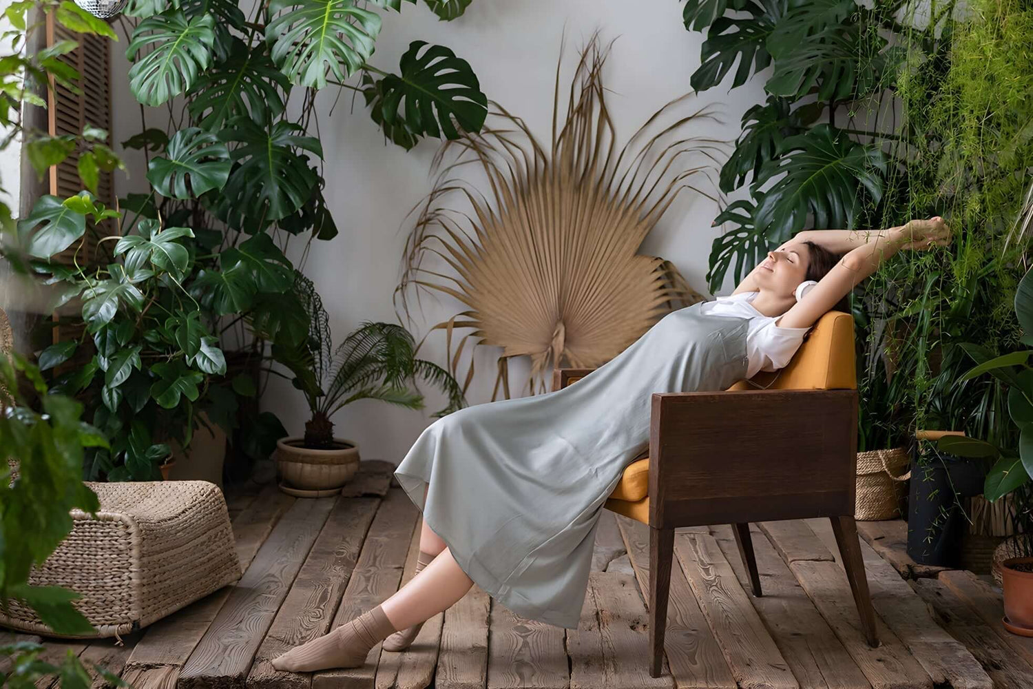 Unlock the Secrets of Big Leaf Houseplants