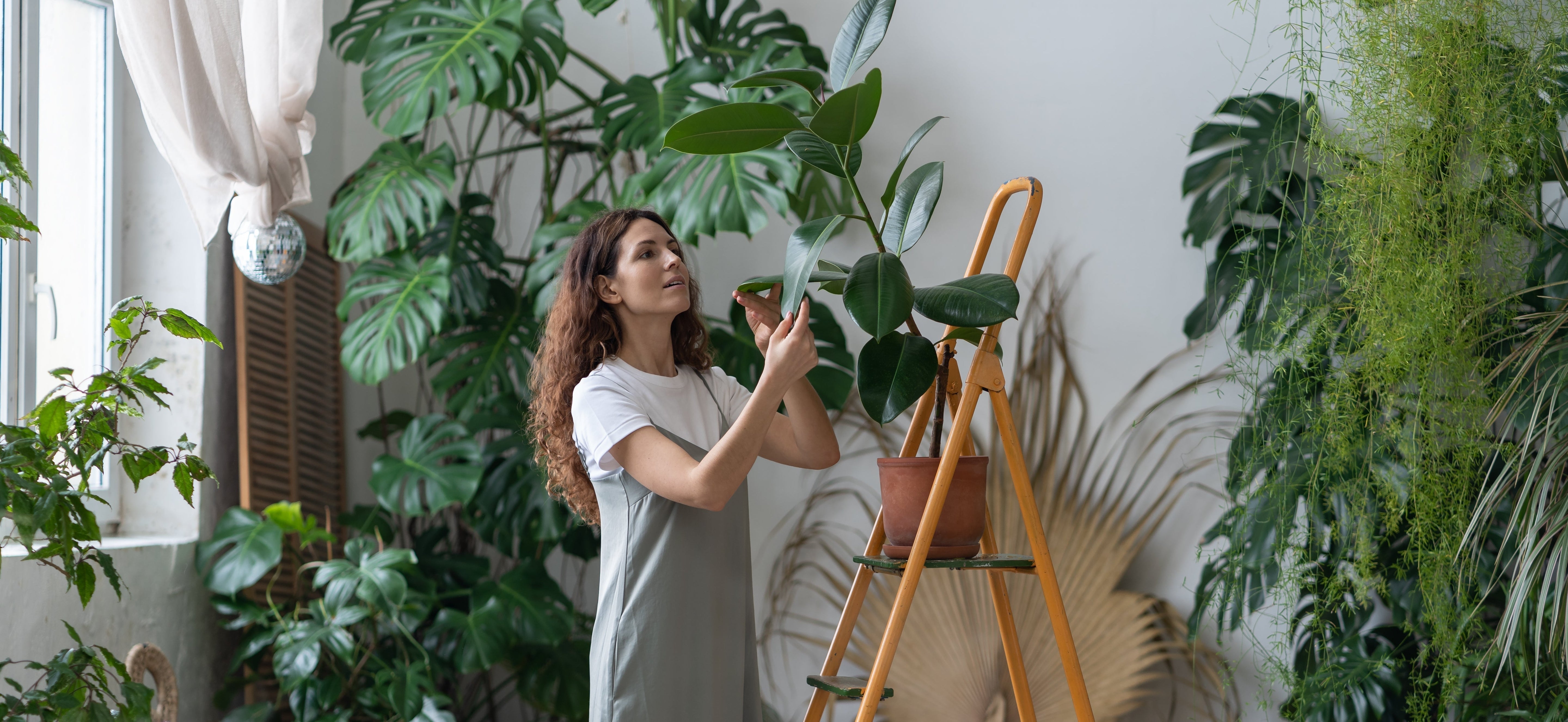 Earth Day 2026: This CPF Grow Light Solves 3 Worries Every Plant Parent Has