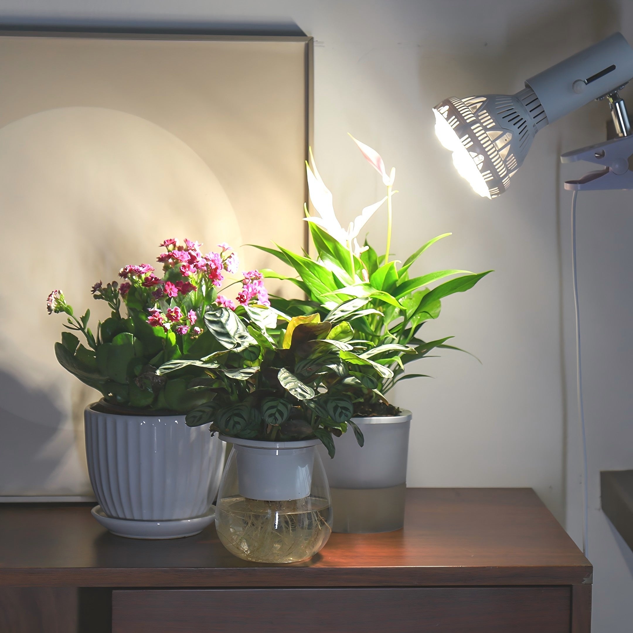 BR30 36W LED Grow Light Bulb