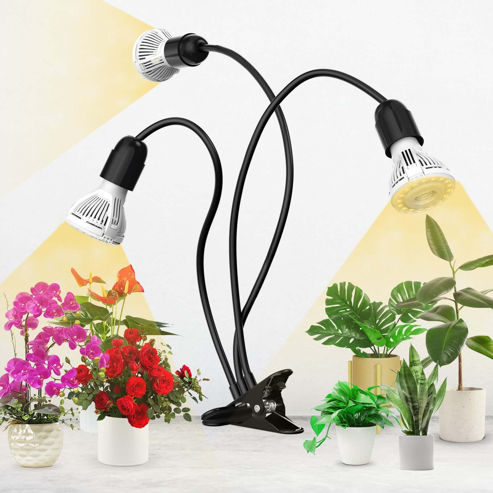 30W Adjustable 3-Head Clip-on LED Grow Light with Timer/No Timer