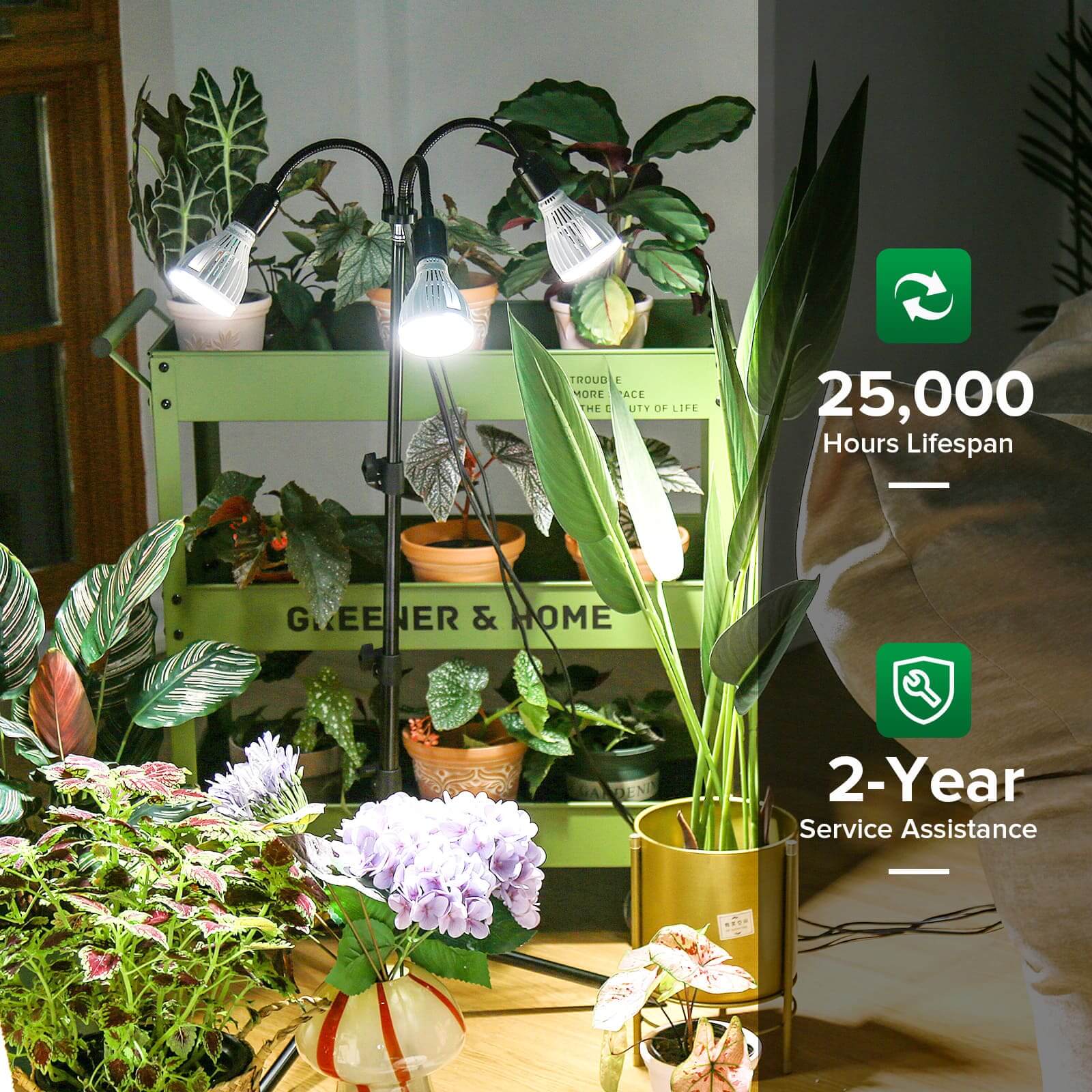 96 W/128 W Pflanzenlampe mit verstellbarem Stativständer (NUR USA)