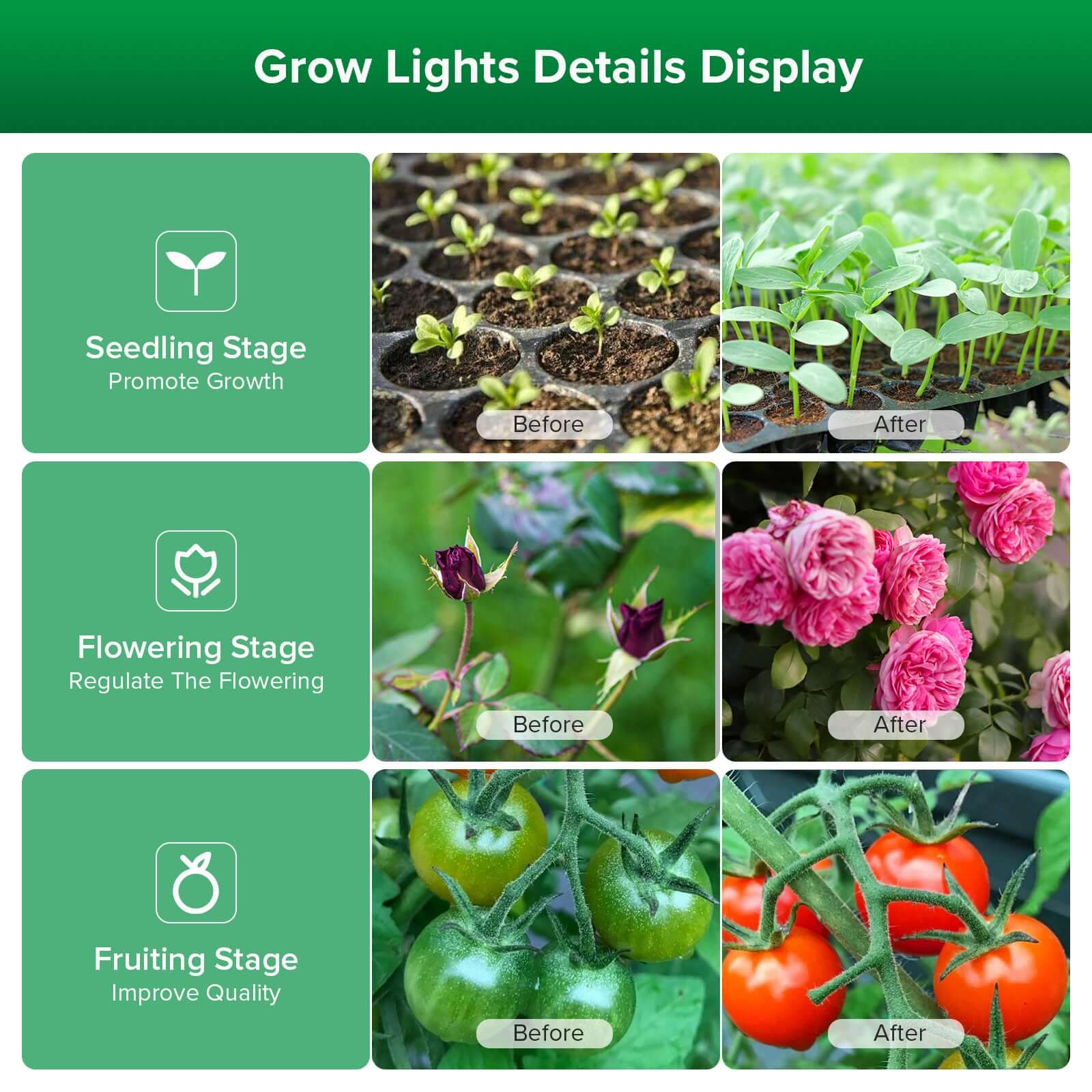 SANSI Plant Lamp LED Full Spectrum for Indoor Plants, IP54 Waterproof Plant Light Fairy Lights with 6 Pieces E27 12 W Grow Lamp Bulbs for Greenhouse, Seedling, Flowers, Vegetables (6.7 Metres)