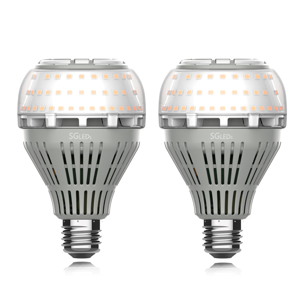 SGLEDs A21 22W Led Light Bulb 2 Pack (US ONLY)