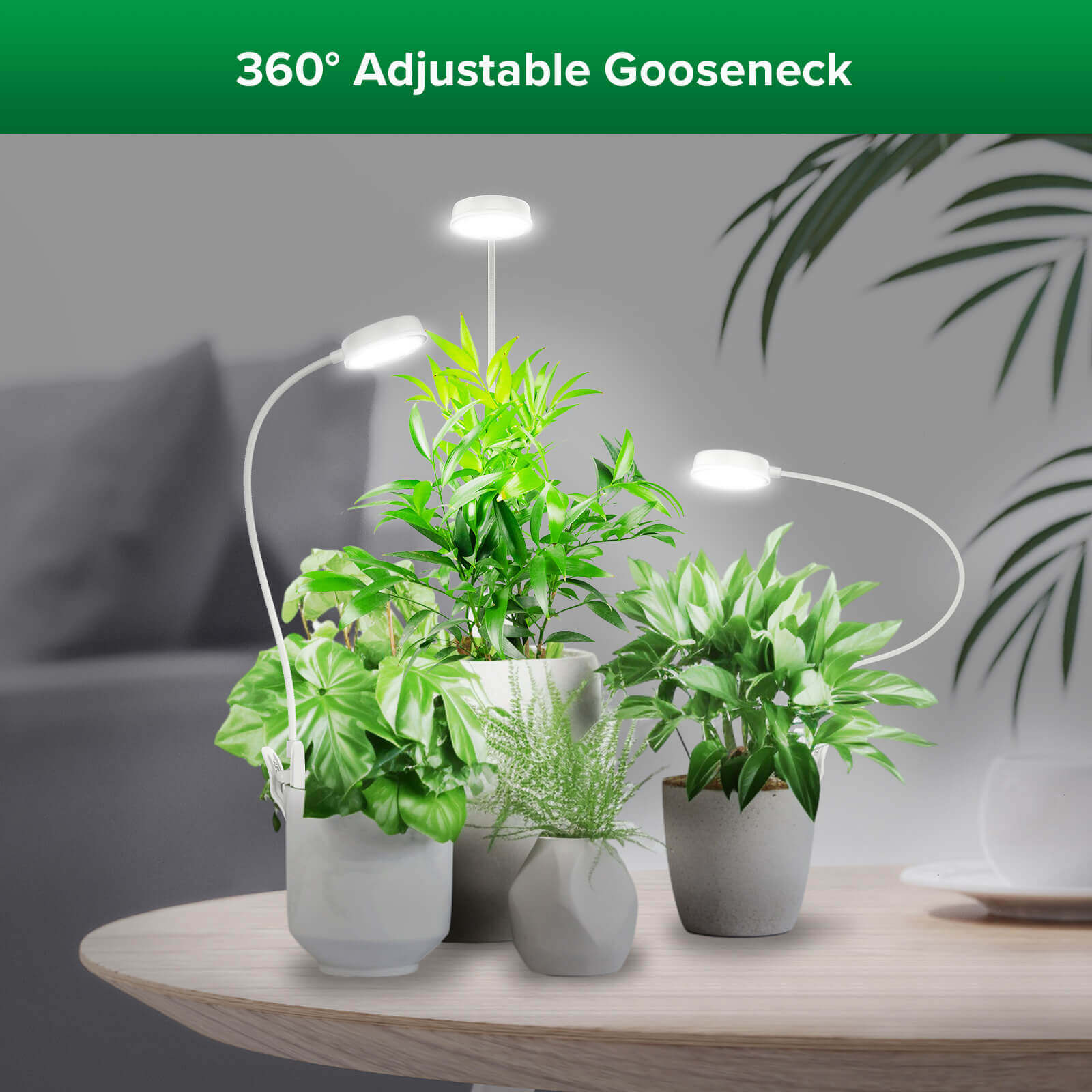 Lampada LED per la coltivazione con clip da vaso da 10 W