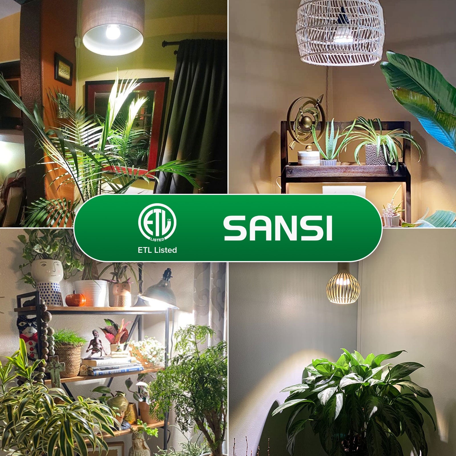 PAR25 10W Smart Grow Light Bulb with APP Control has ETL listed