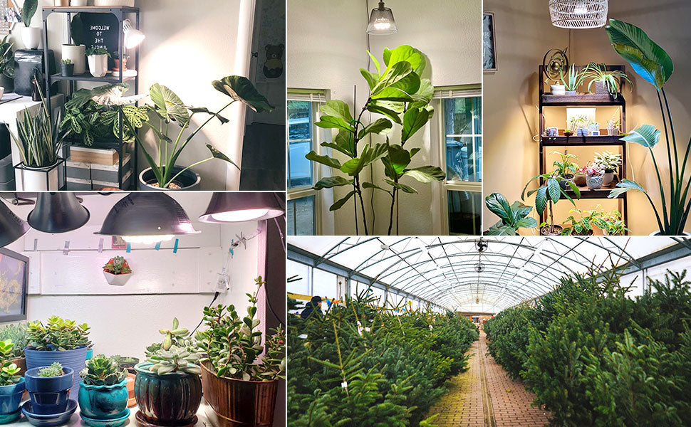 PAR25 10W smart led grow light is suitable for multi places