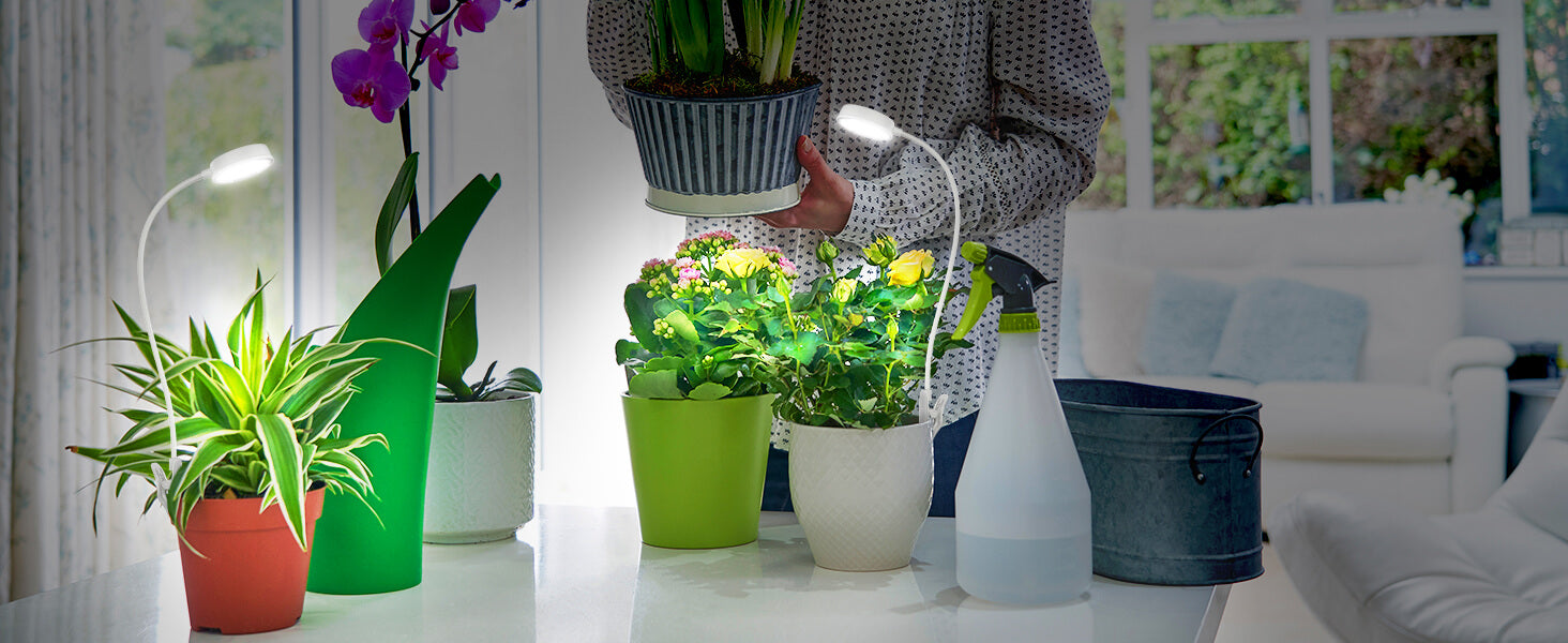 10W pot clip grow light is widely application