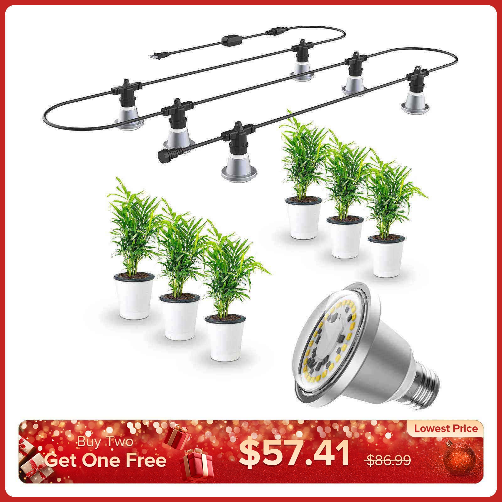 Hängende Lichterkette für Pflanzen (NUR USA)