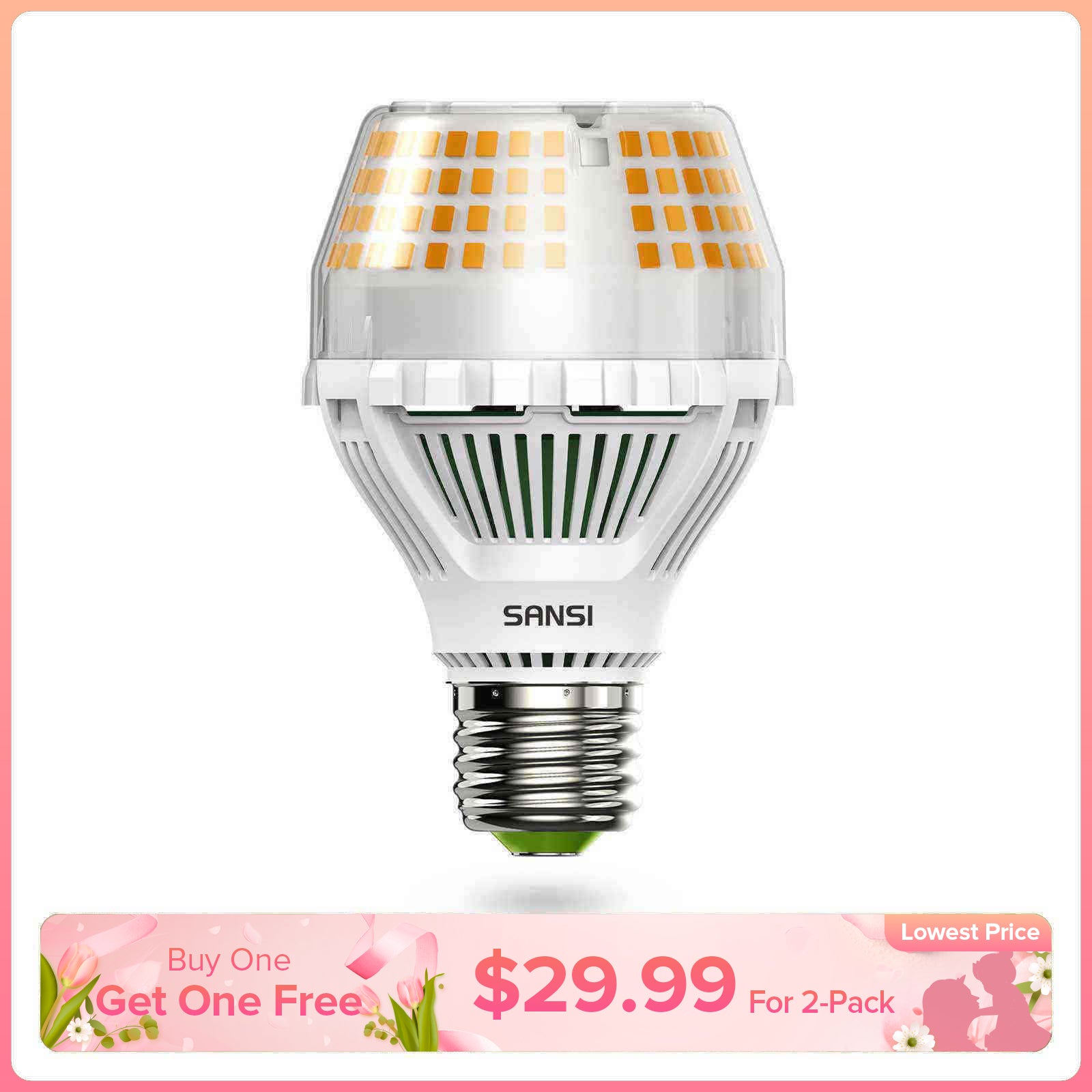 A19 25W LED Light Bulb