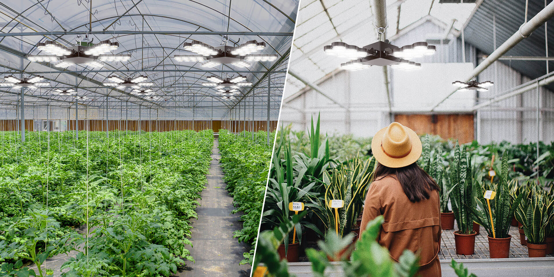 120W/220W Led Grow Light (Folding Wings) suitable for greenhouse and garden shed