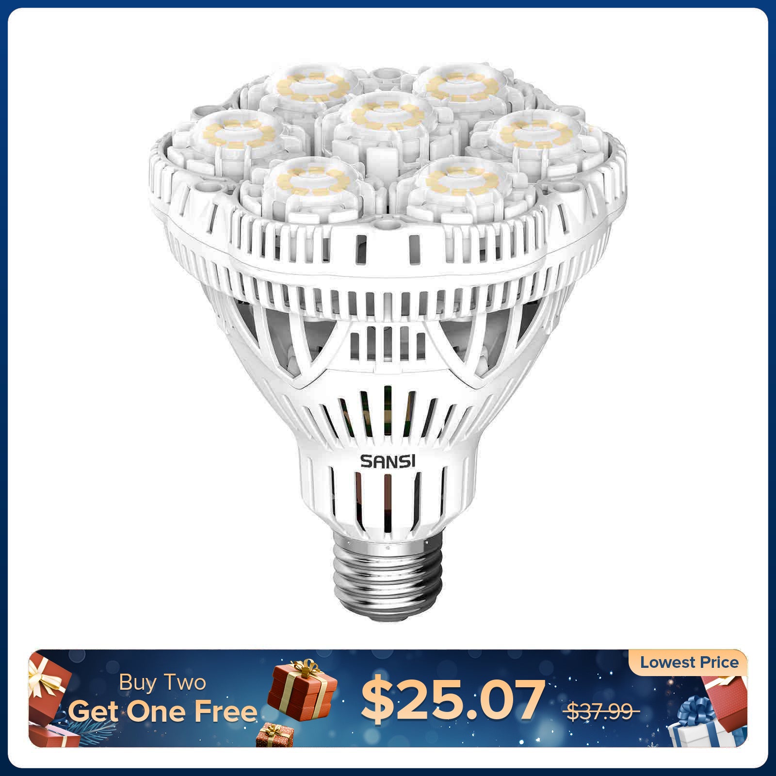 BR30 40W LED Light Bulb