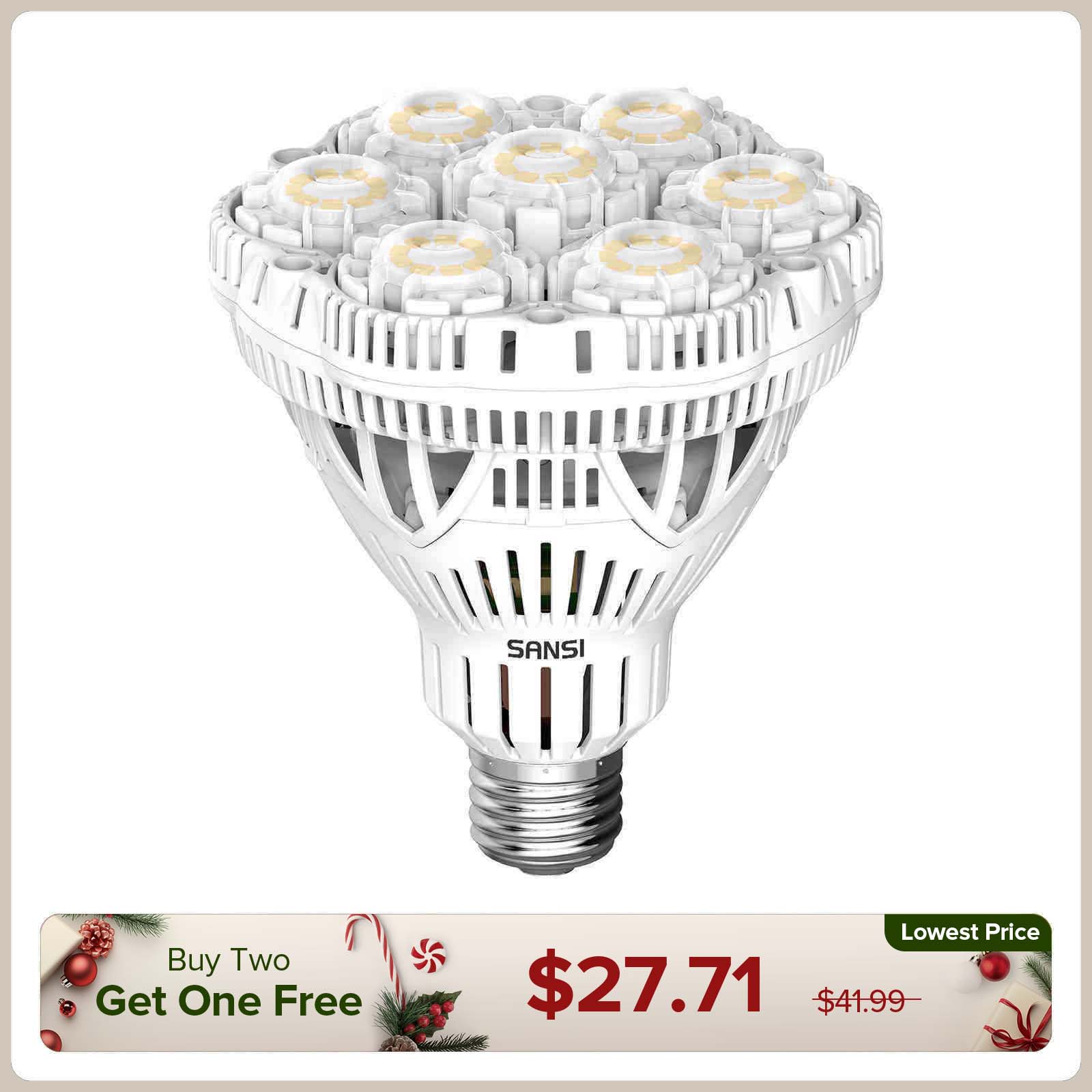 BR30 40W LED Light Bulb