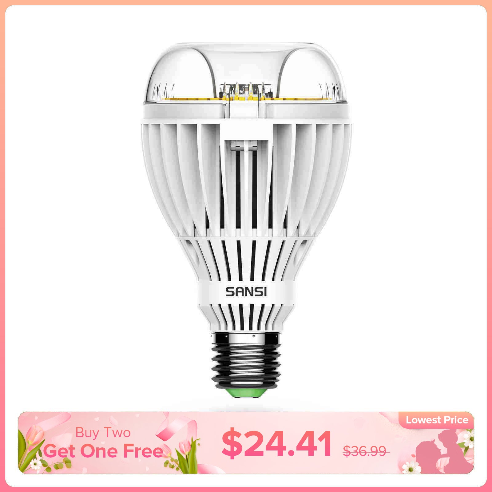Lampadina LED A21 36W 3000K/5000K (SOLO USA/CA)