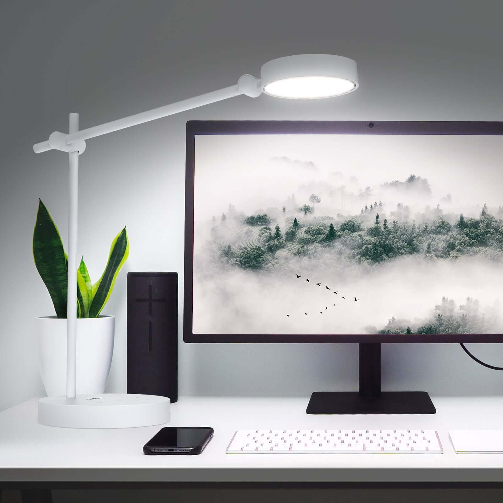 10W LED Desk Lamp (US ONLY)