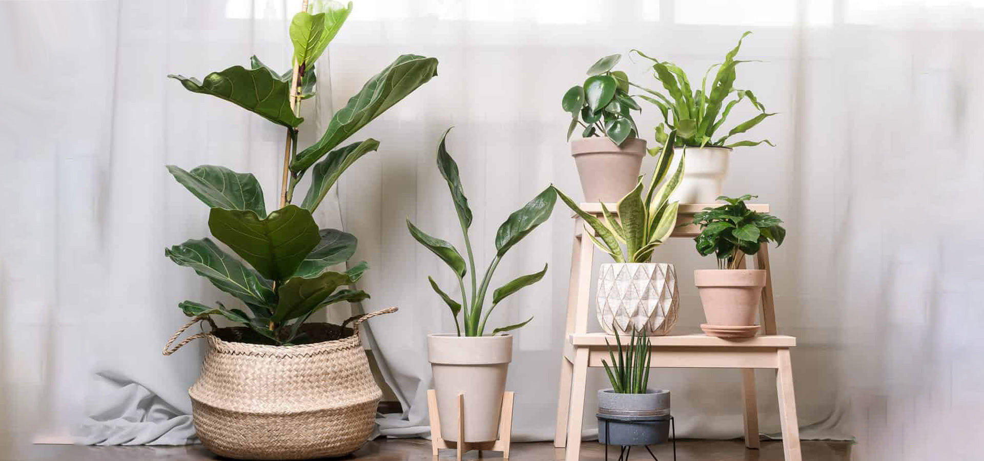 Full Spectrum Light for Indoor Plants:Daylight White increase light intensity and enhance photosynthesis,it is similar to the natural sunlight and ideal for all sorts of indoor plants at all growth stage.