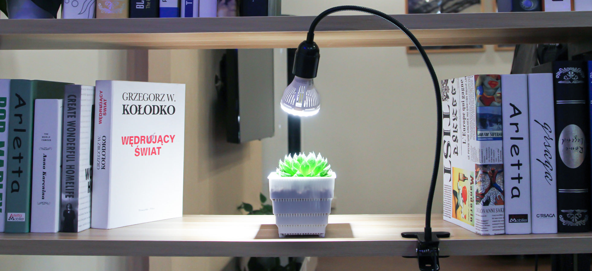 10W Adjustable 1-Head Clip-on LED Grow Light is clipped on the bookshelf, the light of the bulb is on a pot of succulence, succulence grows healthily under the light of the lamp.