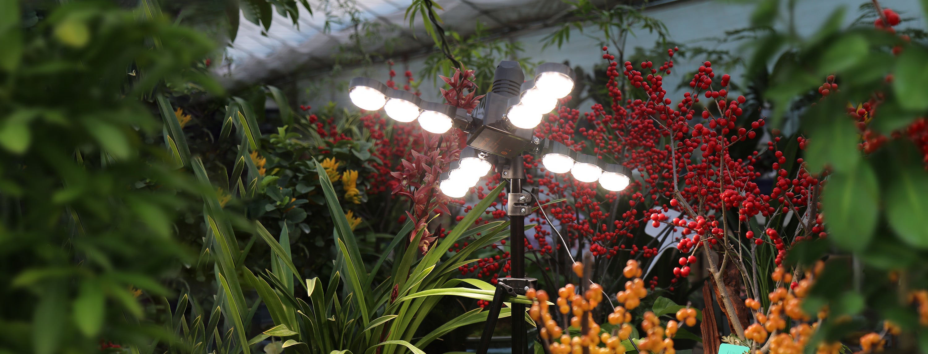 Folding Wings Grow Lights