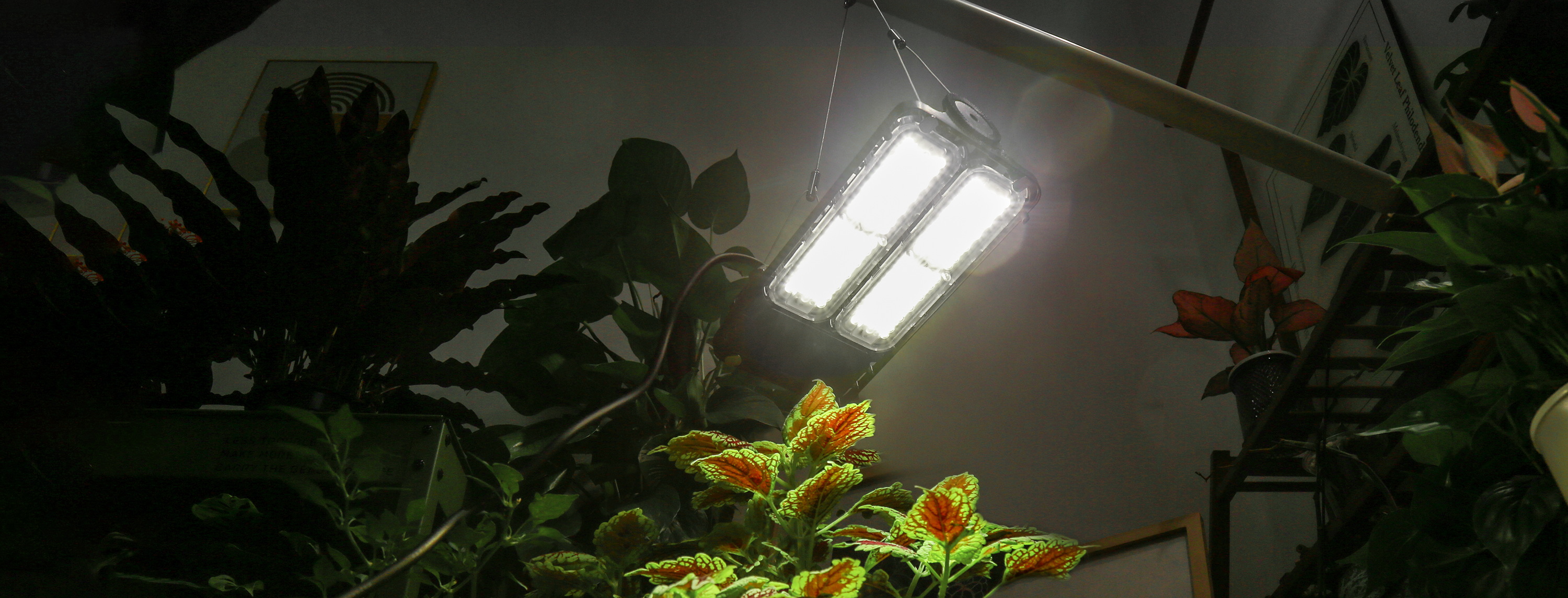 Panel Grow Light