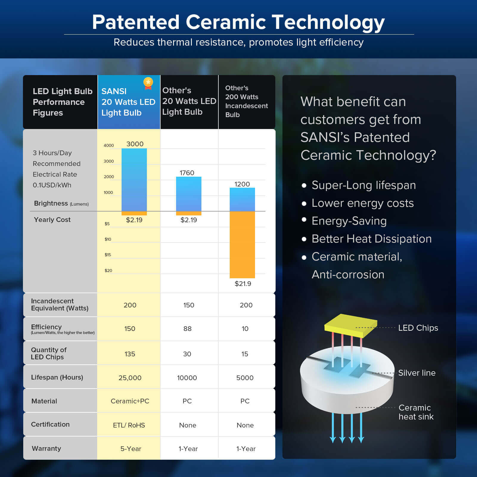Lampadina LED SANSI A19 20W