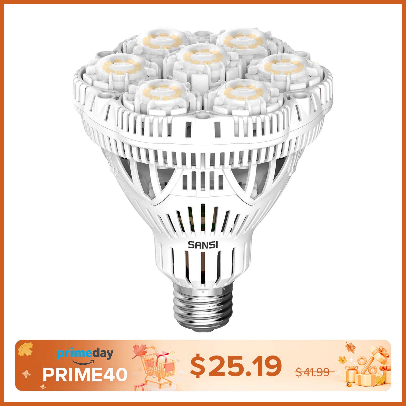 BR30 40W LED Light Bulb