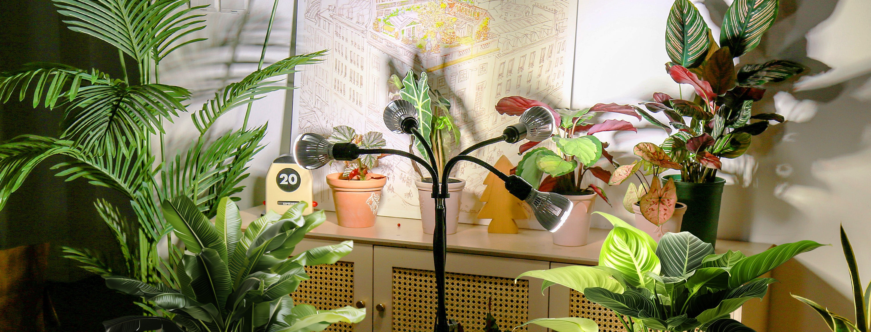 Grow Light with Tripod Stand
