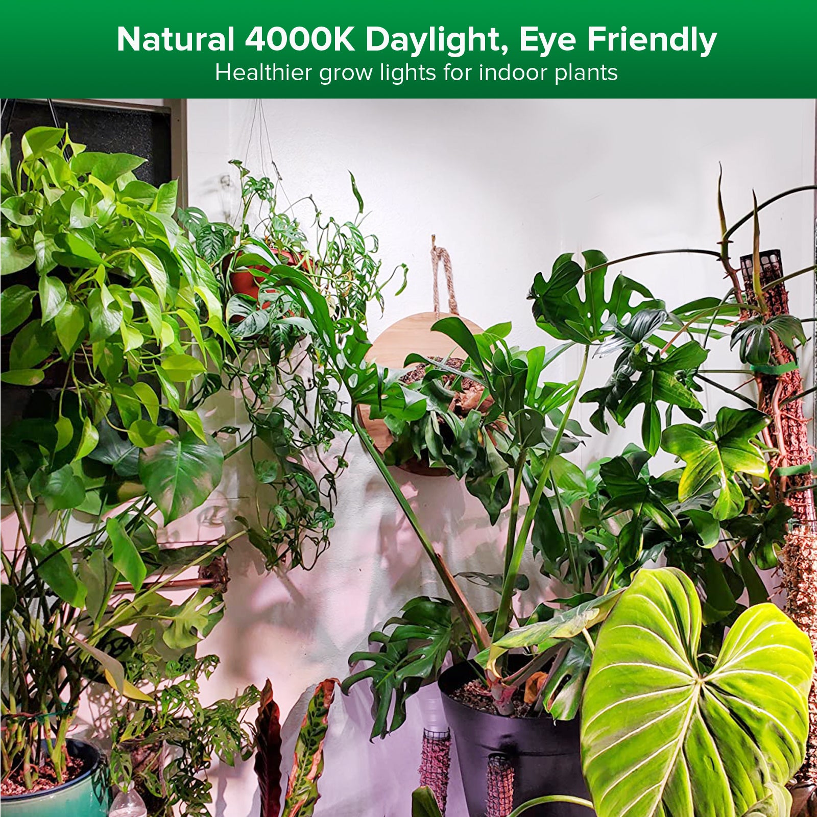 SANSI 60W Panel LED Grow Light (US ONLY)