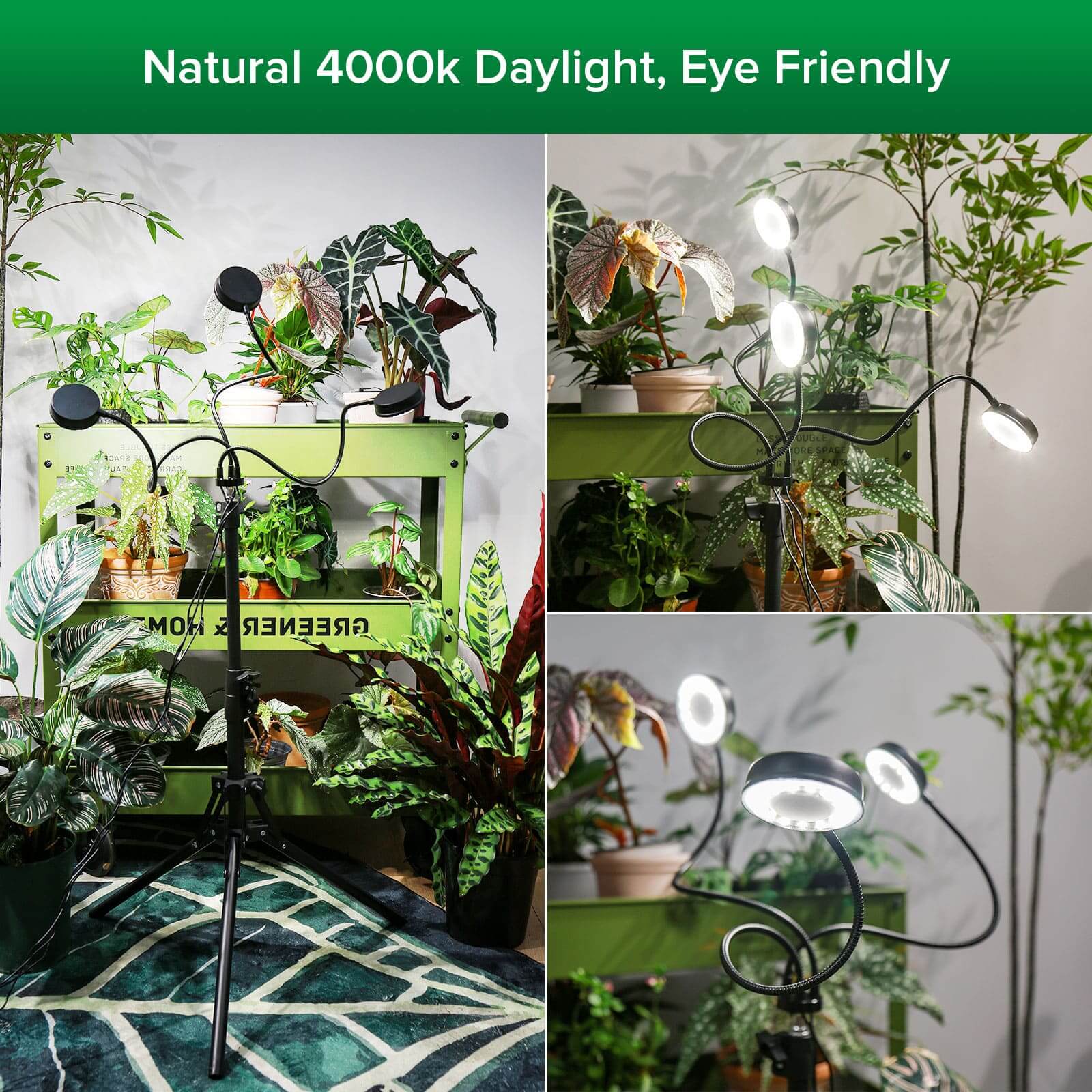 30W 3-Head Adjustable Tripod Stand Grow Light with Remote Control,natural 4000k daylight, eye friendly.