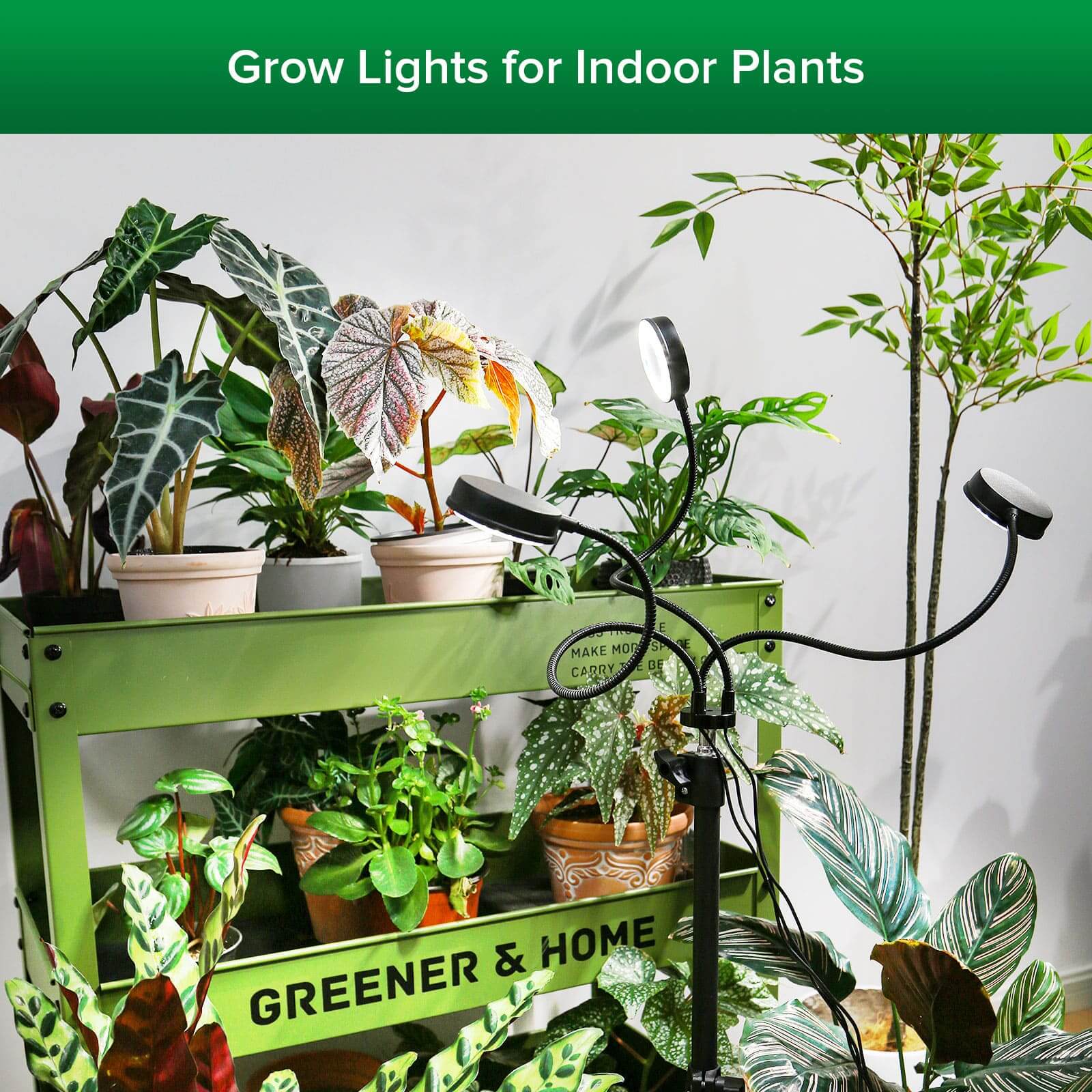 30W 3-Head Adjustable Tripod Stand Grow Light with Remote Control, grow lights for indoor plants.