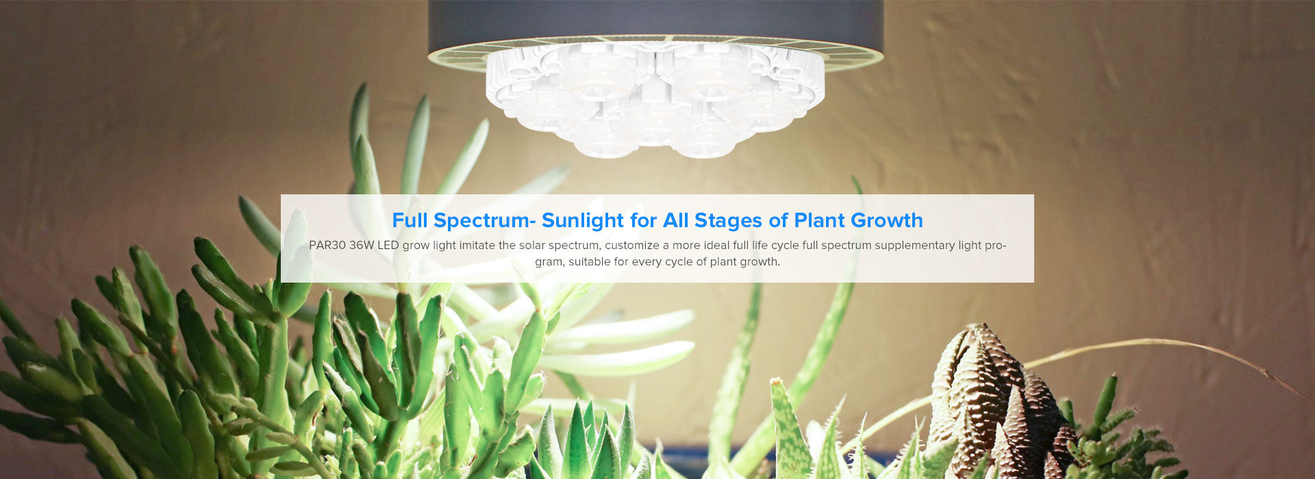 36W led grow light bulb with full spectrum sunlight for all stages of plant growth