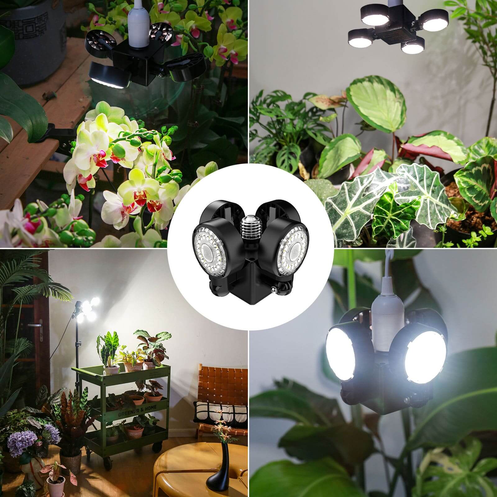 Lampada LED per coltivazione SANSI da 40 W con ali pieghevoli e telecomando