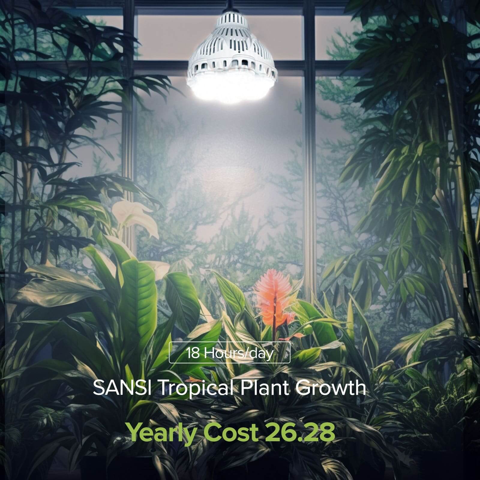 18 Hours/day for Tropic Plant Growth,Yearly Cost $26.28.